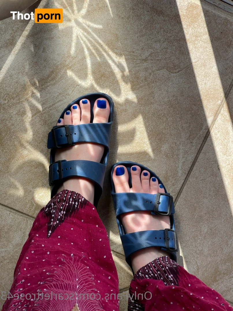 Scarlett Rose 8152433