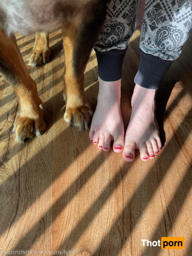 Scarlett Rose 8152474