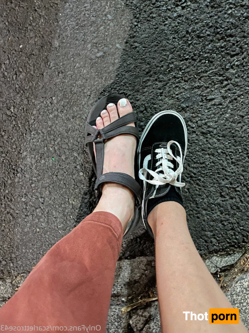 Scarlett Rose 8152550