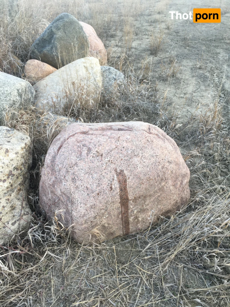 Selena Adams 12090953