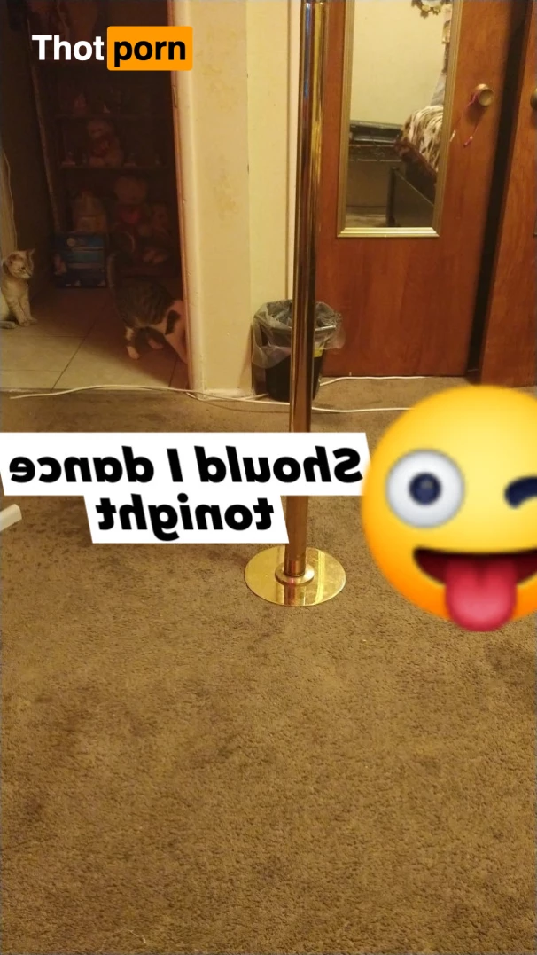 SEXYSAFARI⭐ 8329605