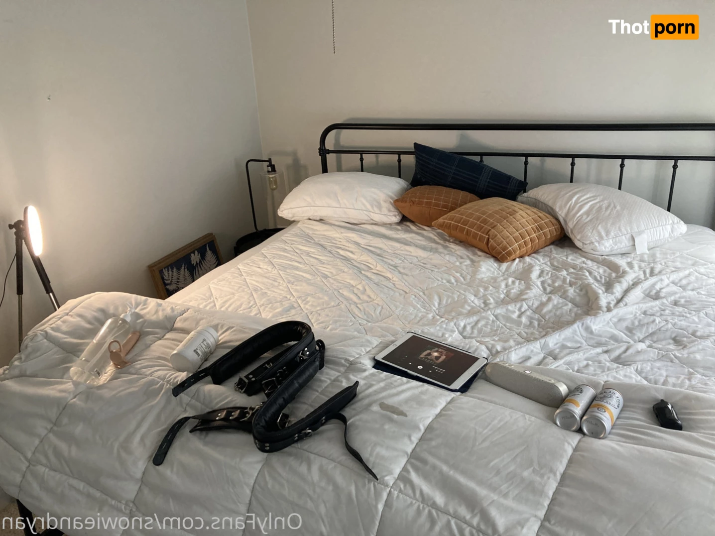 Snowie &amp; Ryan 8117773