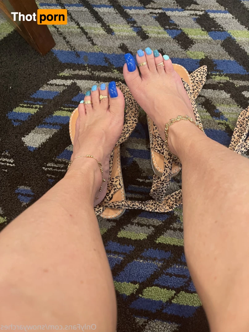 SnowyArches 10188282