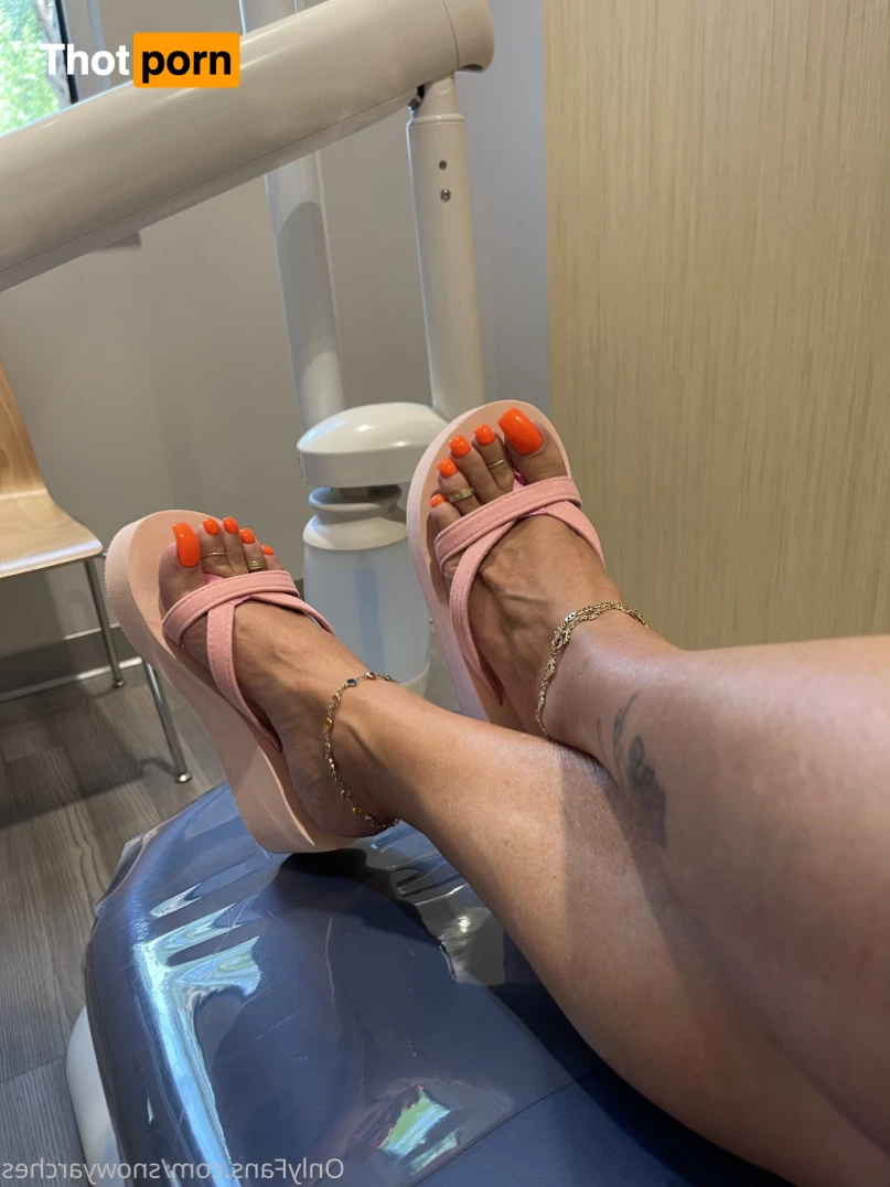 SnowyArches 10188397