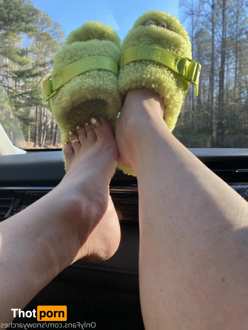 SnowyArches 10188785