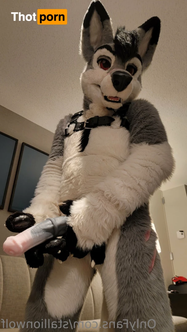 HavocStallion 8143866