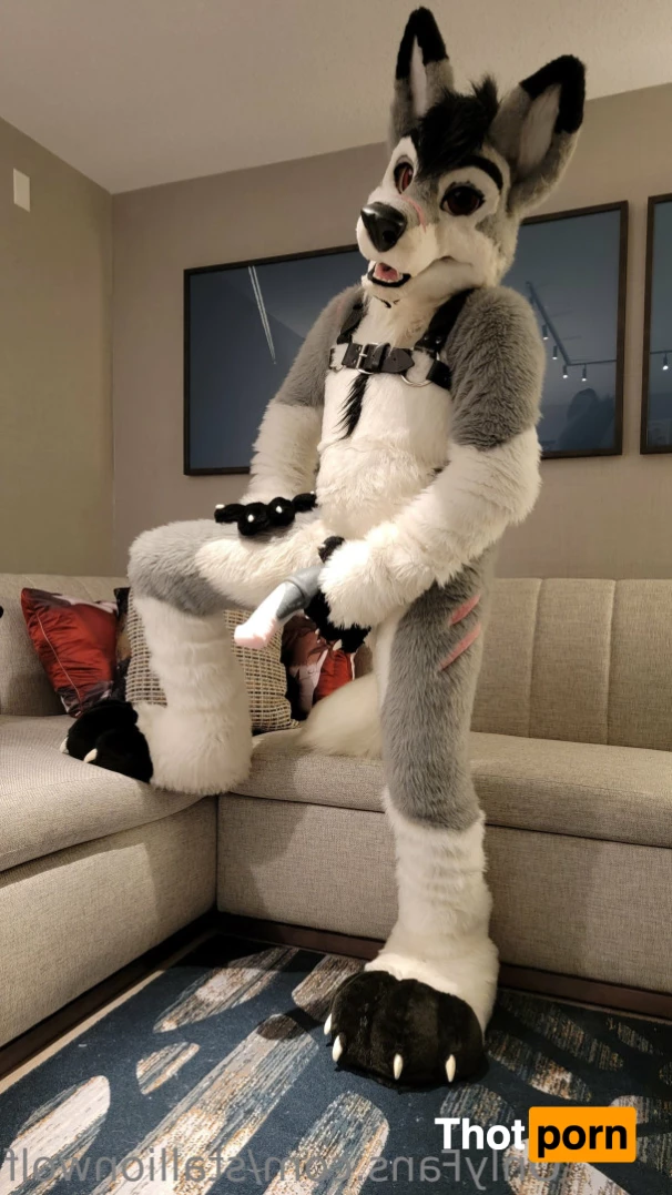 HavocStallion 8143926