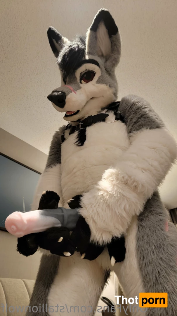 HavocStallion 8143940