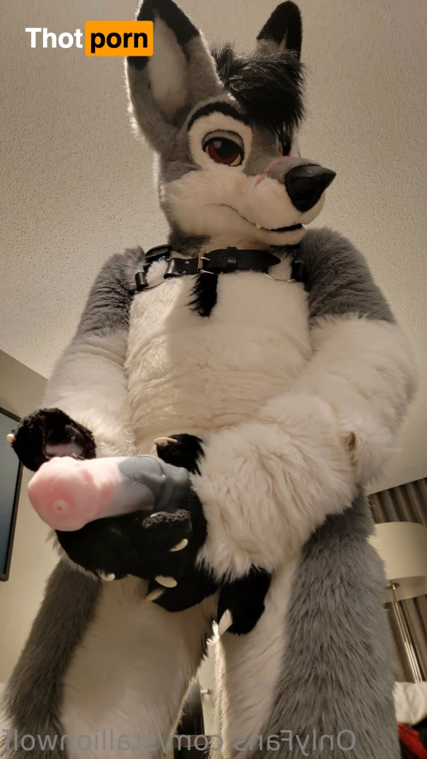 HavocStallion 8143955