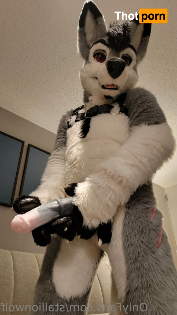 HavocStallion 8143990