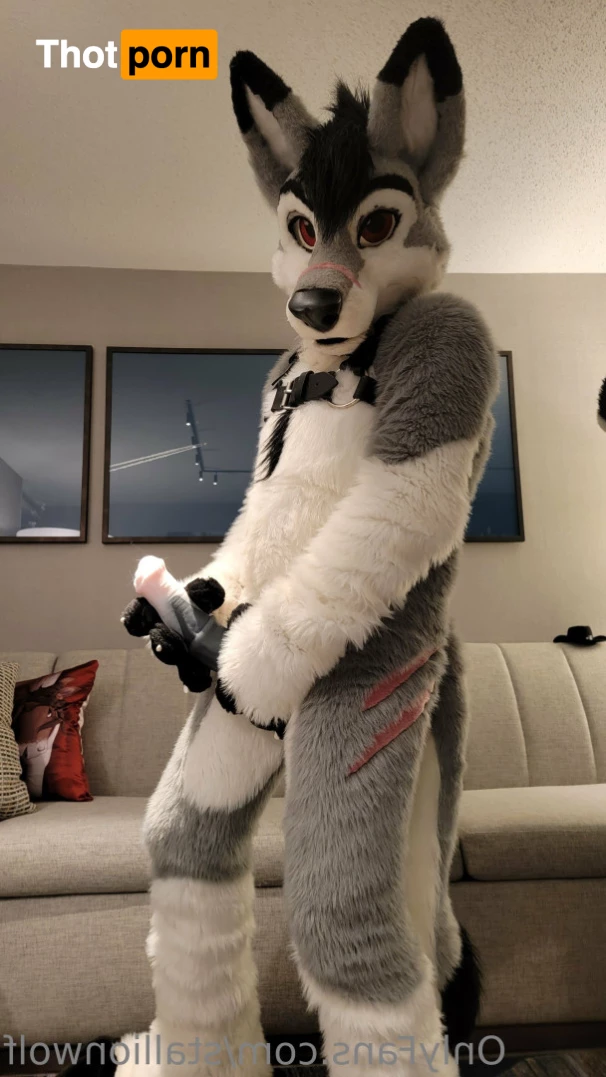 HavocStallion 8144012