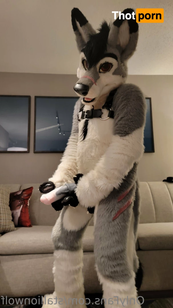 HavocStallion 8144071