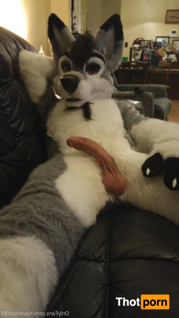 HavocStallion 9675136