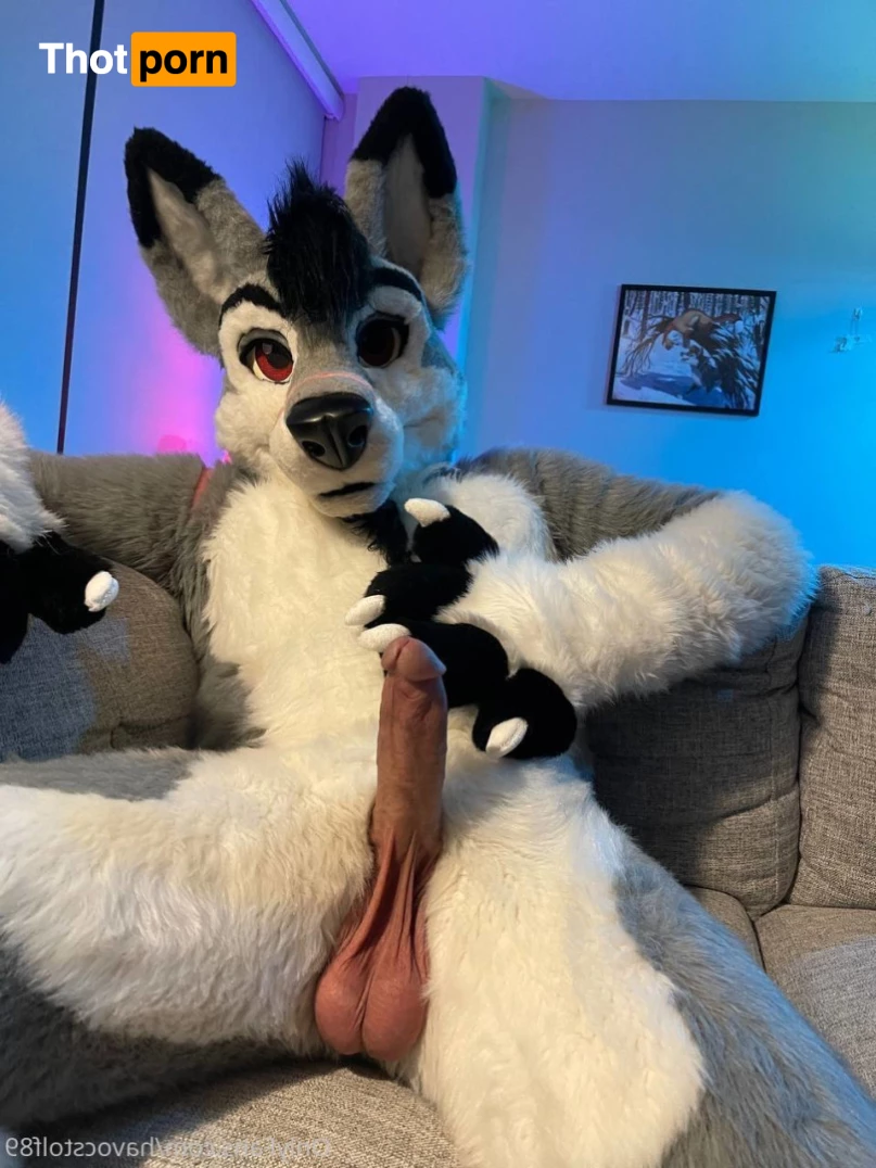 HavocStallion 9675144