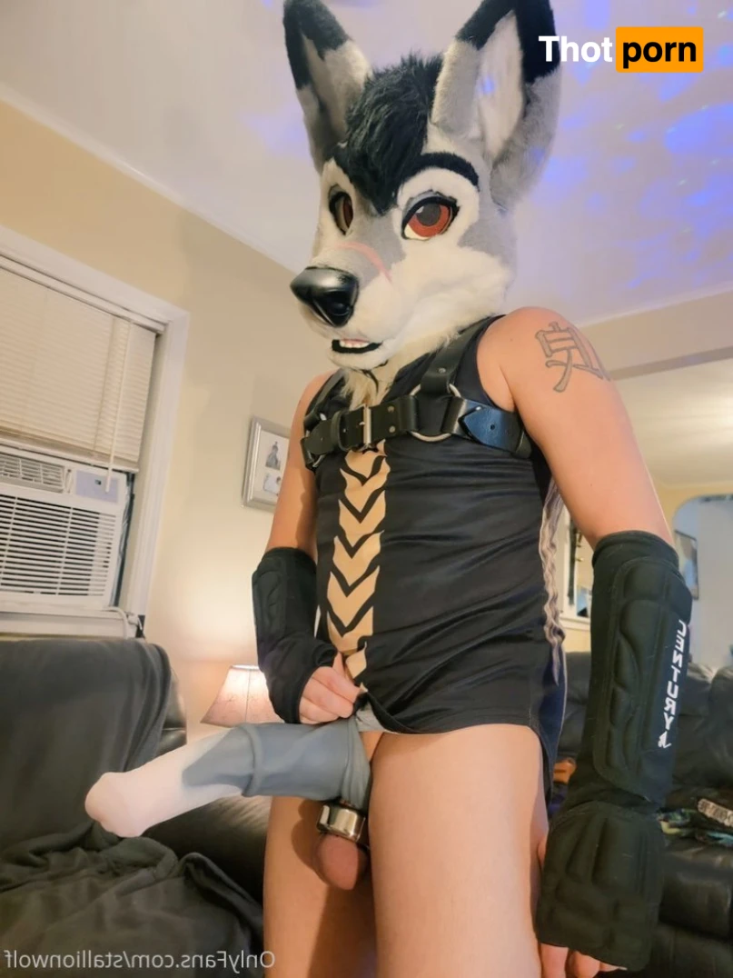 HavocStallion 15972730