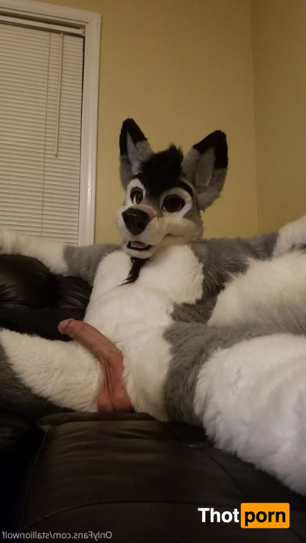 HavocStallion 15975204