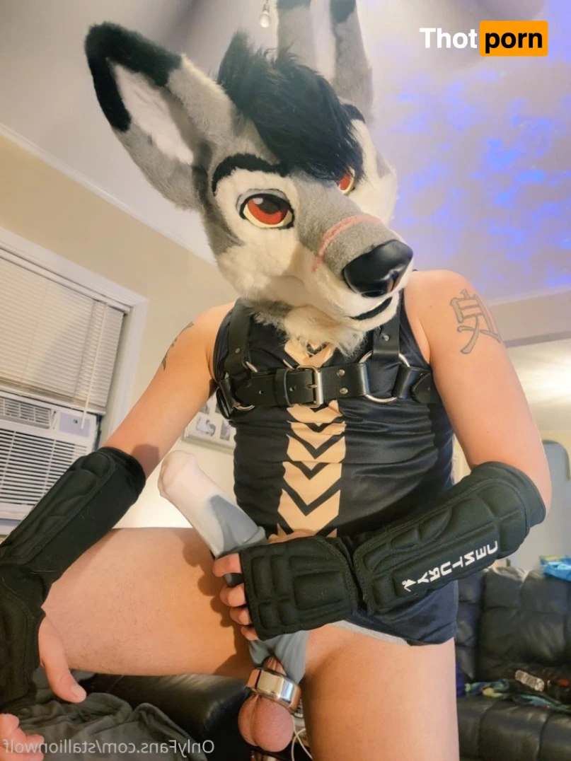 HavocStallion 15978698