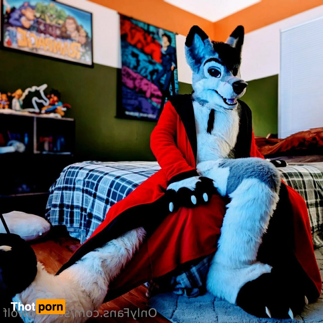 HavocStallion 15979845