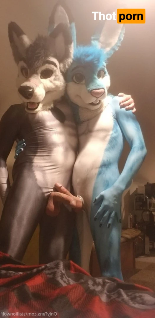 HavocStallion 15980952