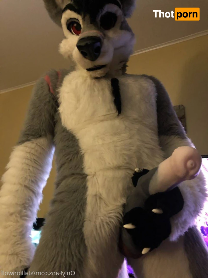 HavocStallion 15988042