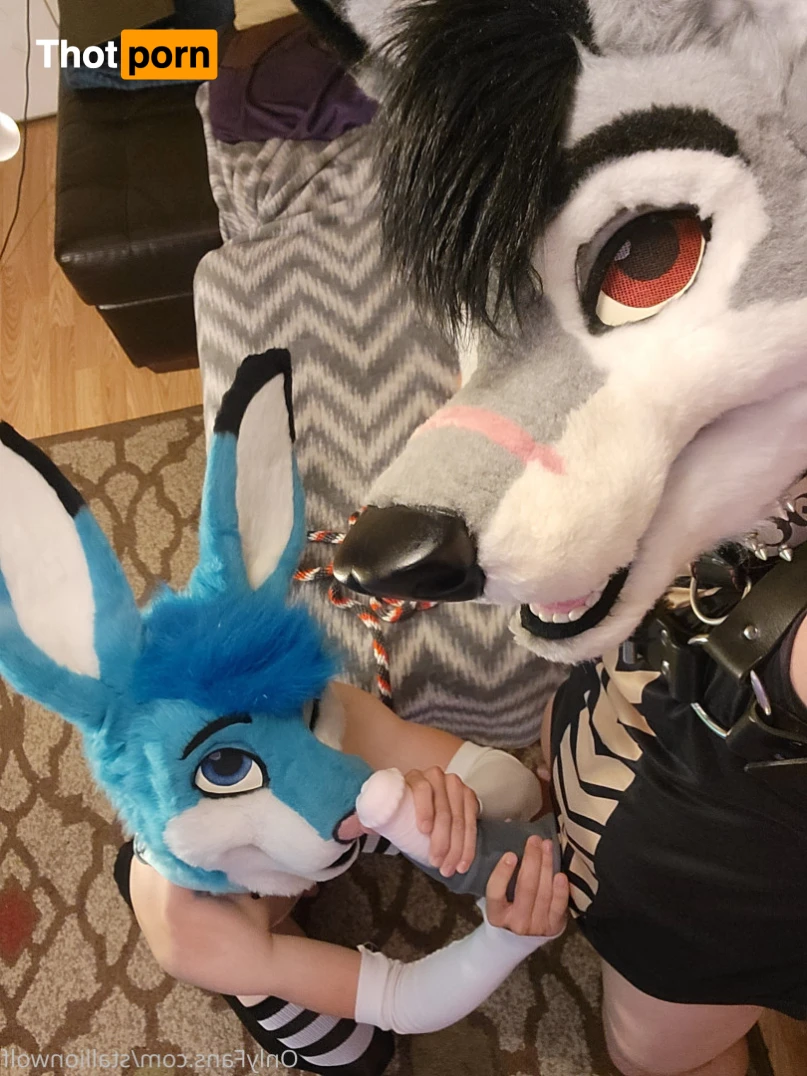 HavocStallion 15991630