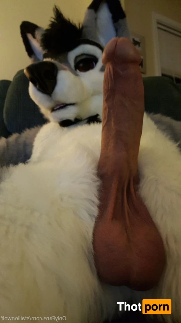 HavocStallion 15997486