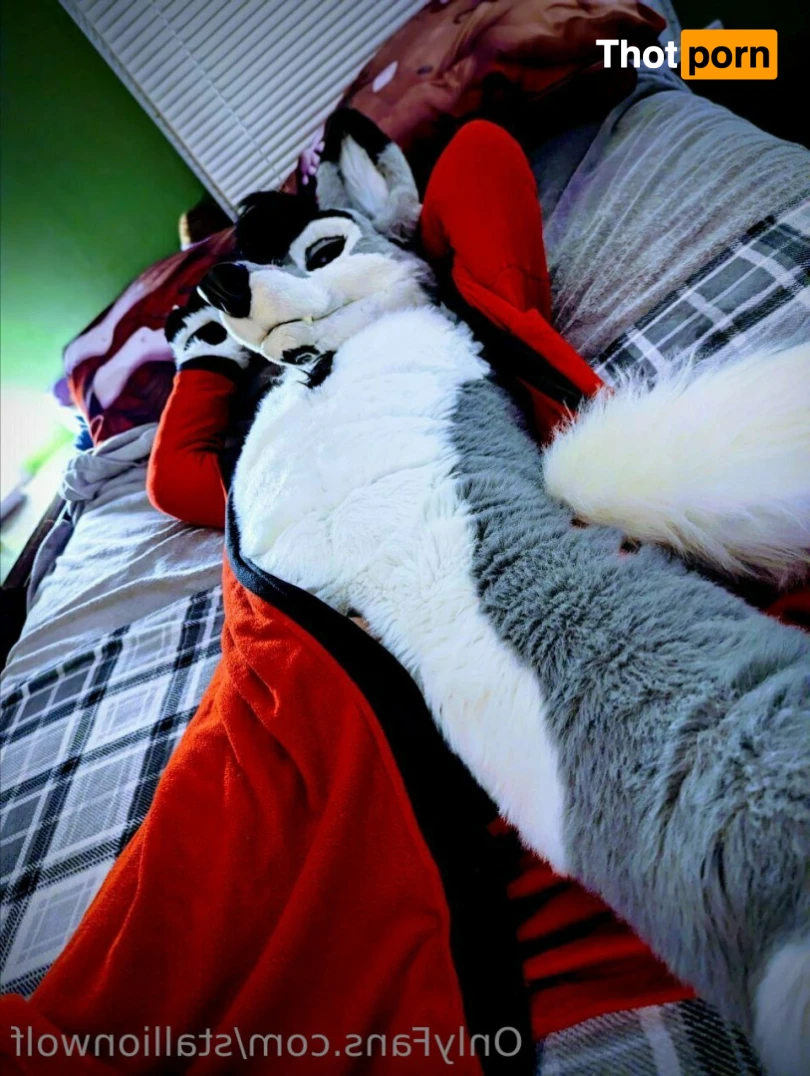 HavocStallion 16005004