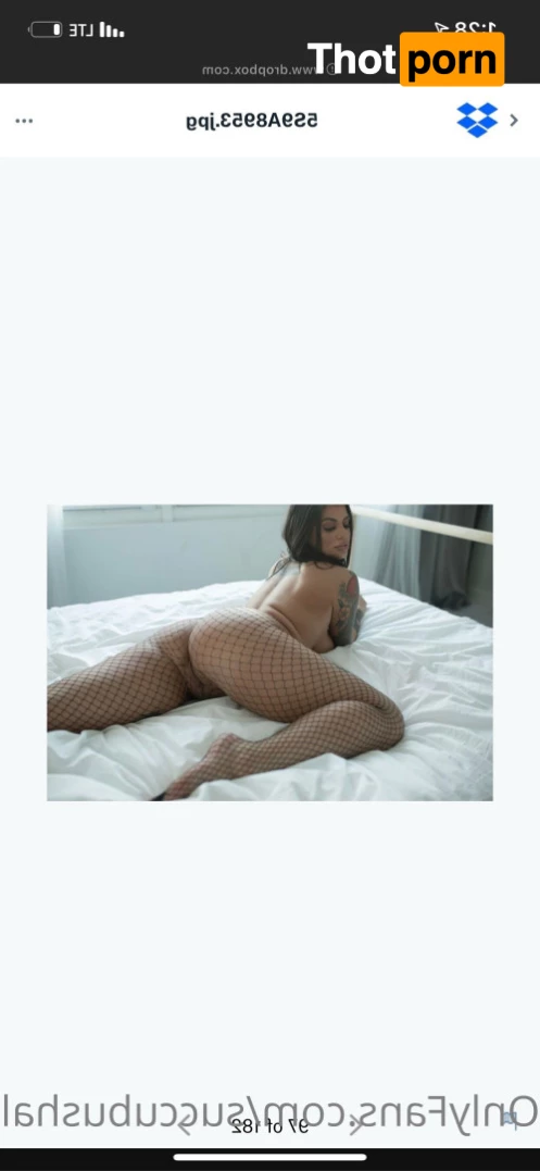 Succubushales 8279384