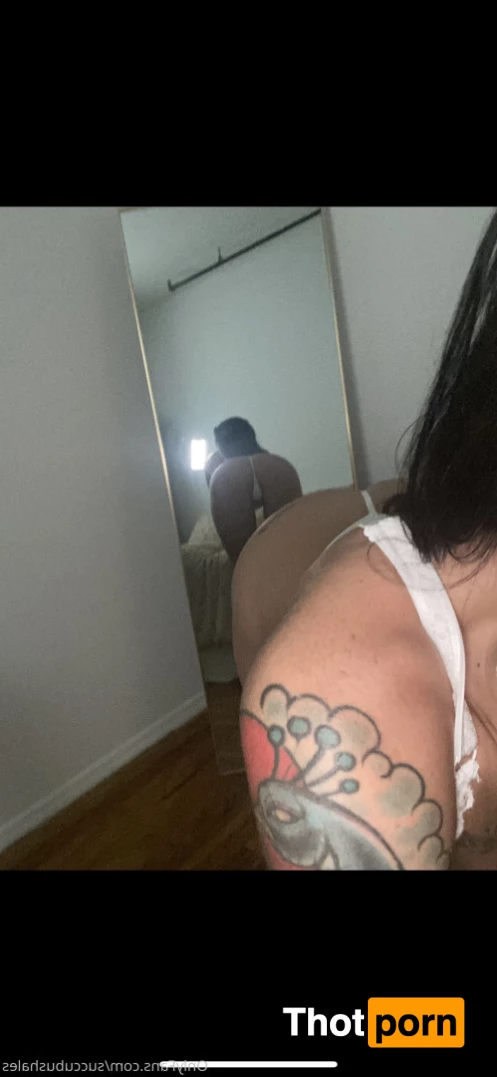 Succubushales 8279493