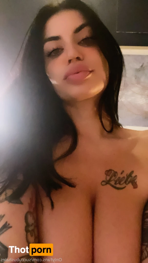 Succubushales 8279540