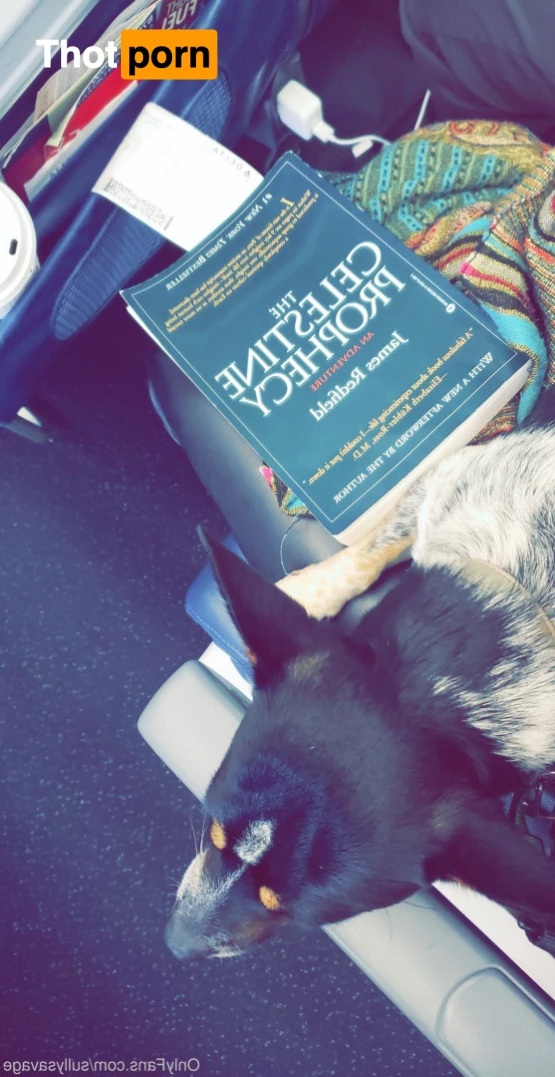 Sully Savage XXX 8084512