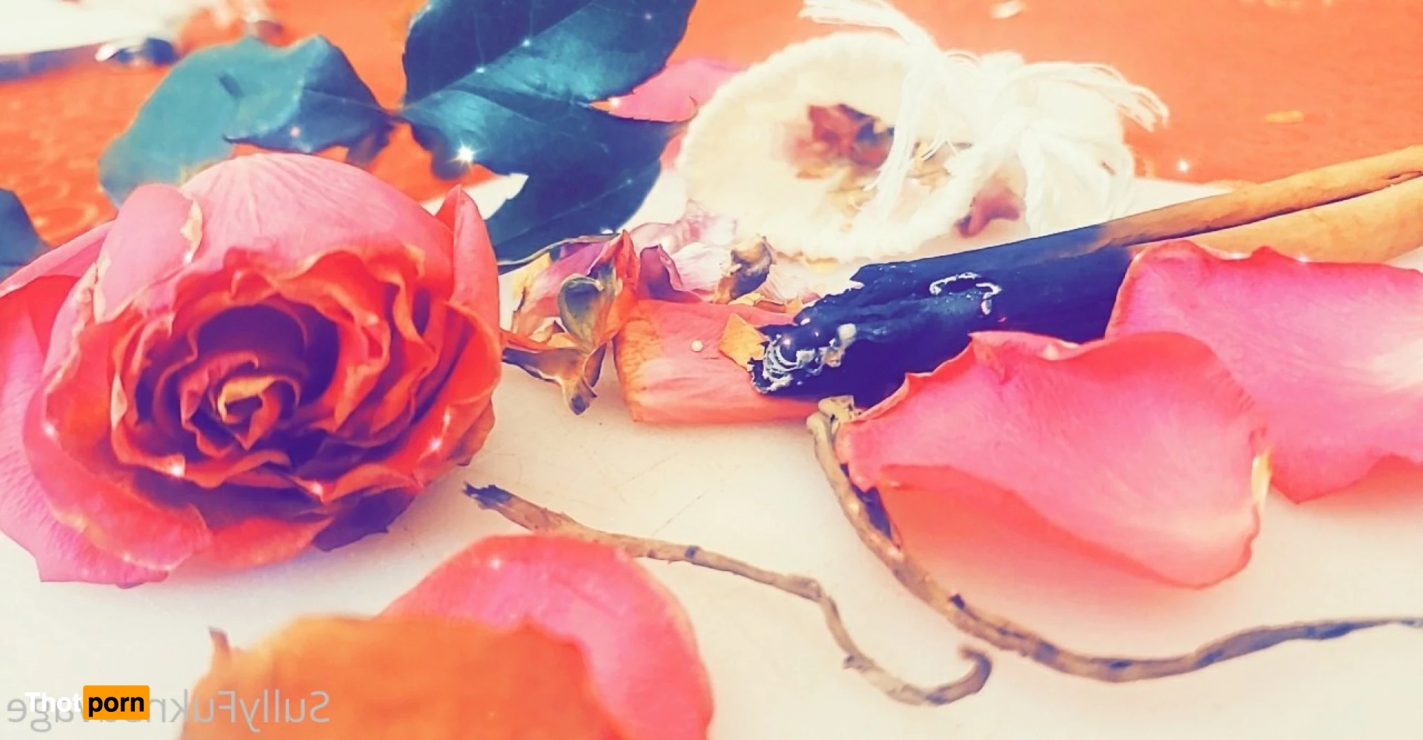 Sully Savage XXX 8084860