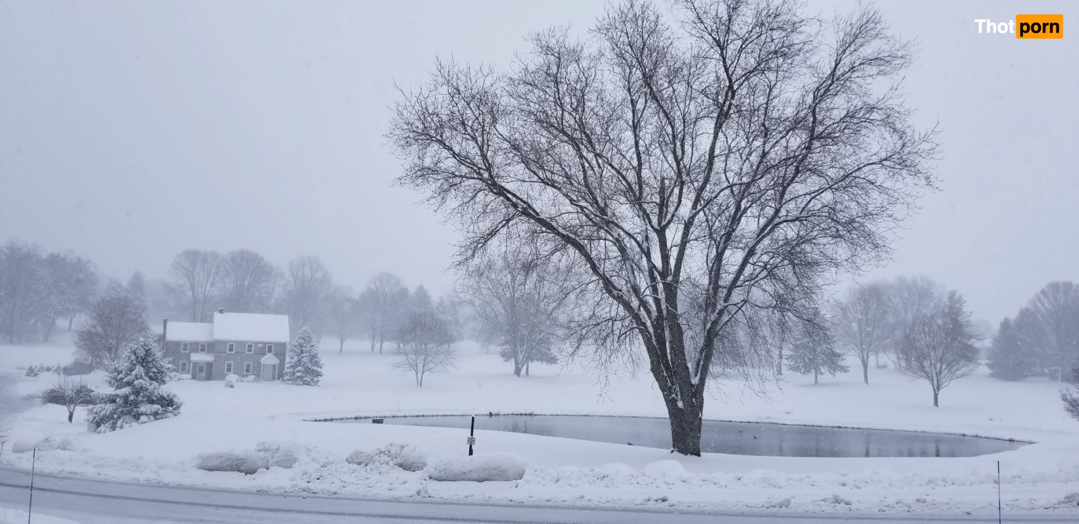 Syren De Mer 8286137