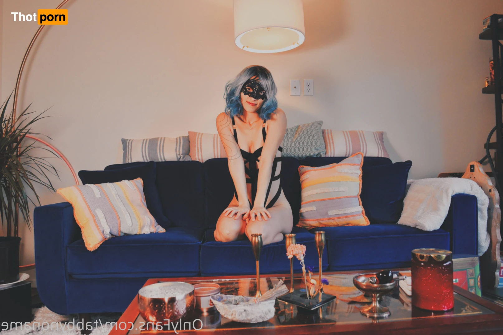 TabbyNoName 16487590