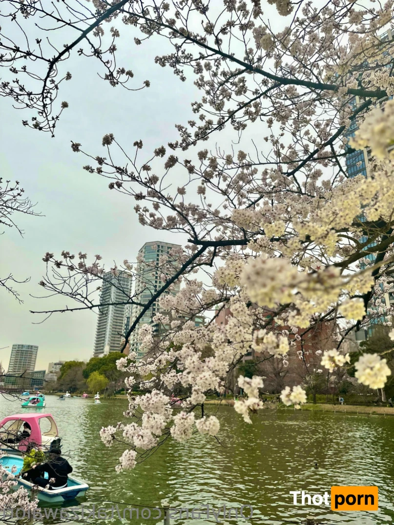 ioritakizawa 16479113