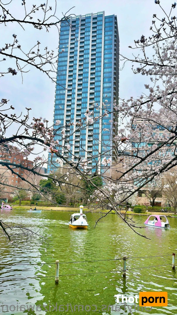 ioritakizawa 16479225