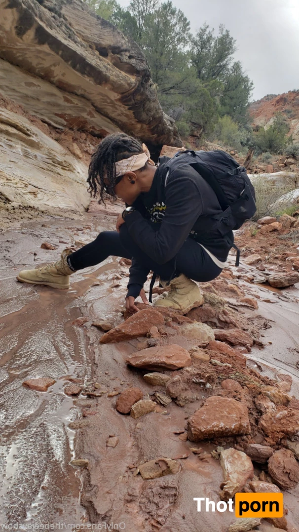 TheBeeJayShow 8086909