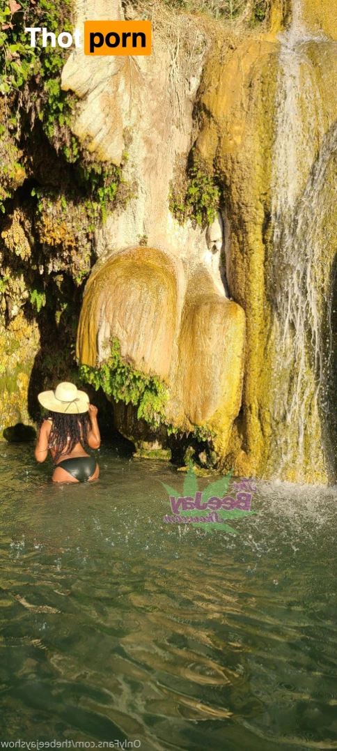 TheBeeJayShow 8087067