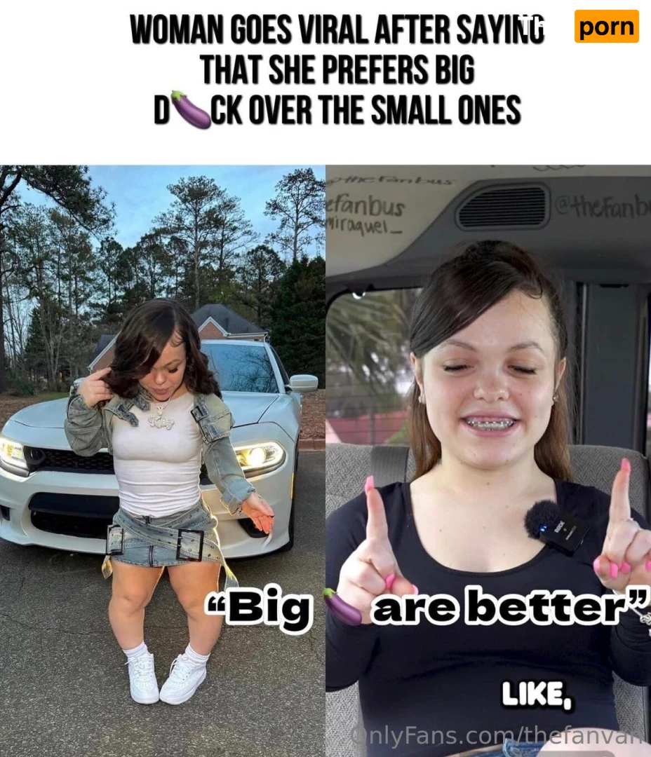 The Fan Van 16582787