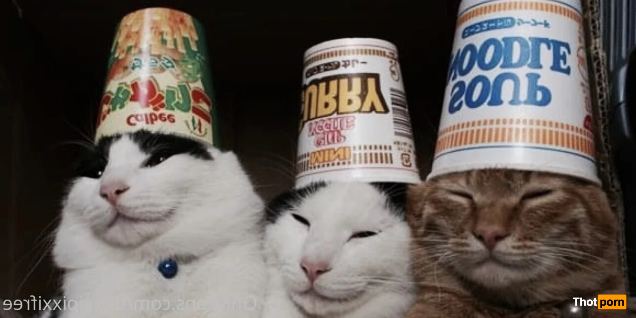 😈PIXXI NO PPV😈 16338030