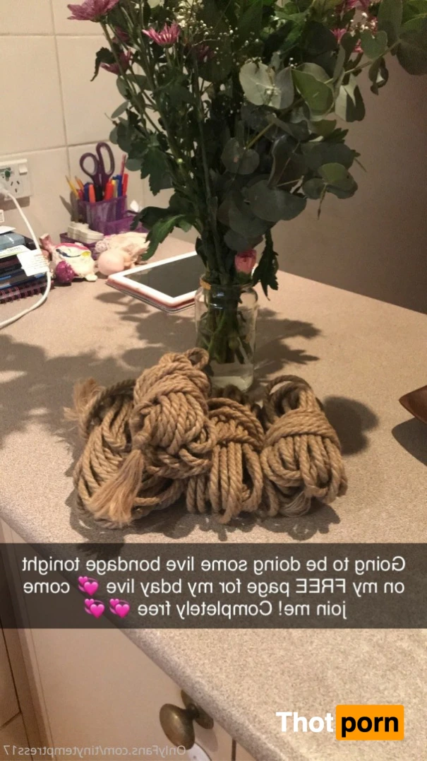 tinytemptress17 16328670