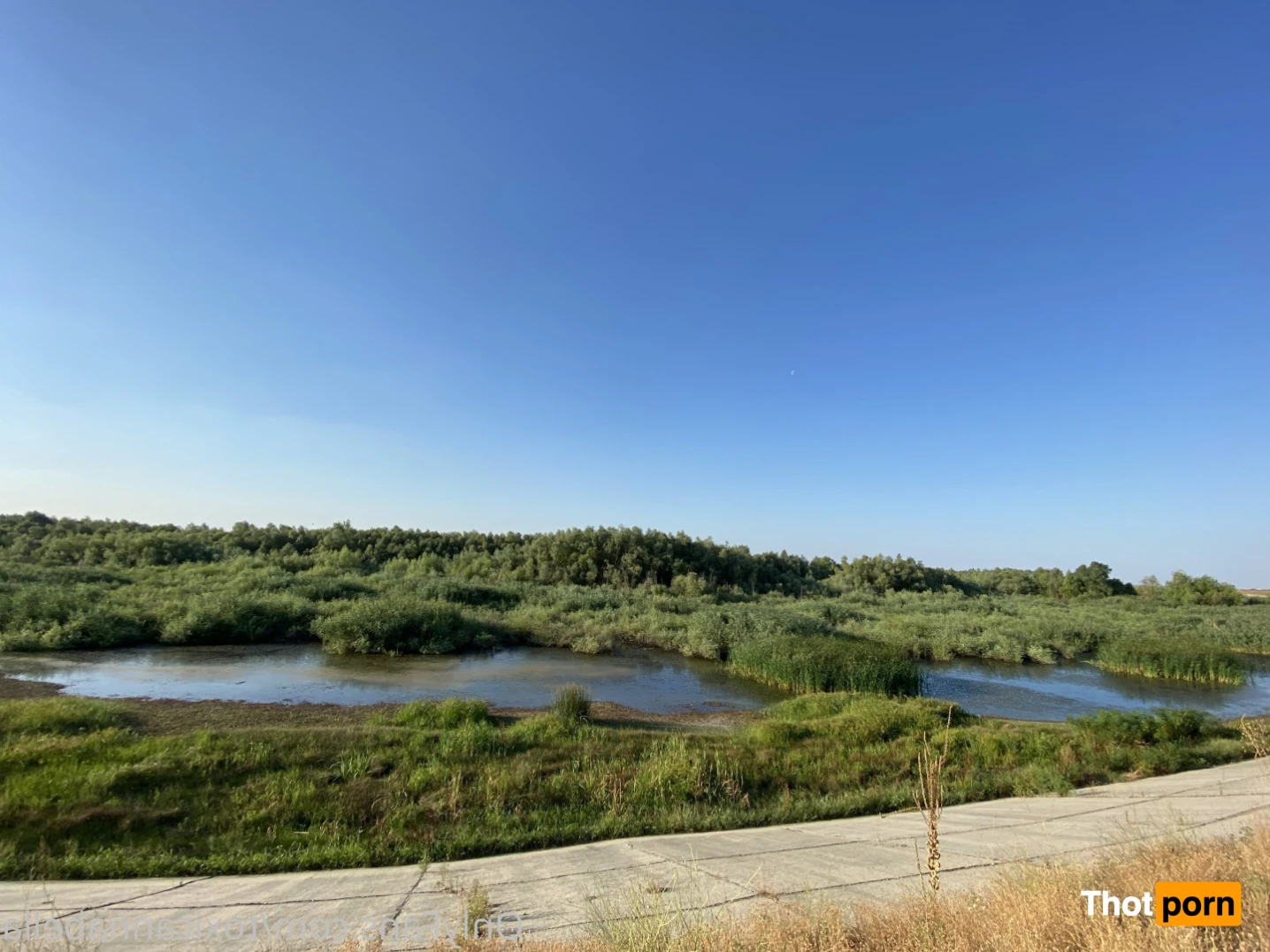 ❤️AnnaBella❤️ 16309523