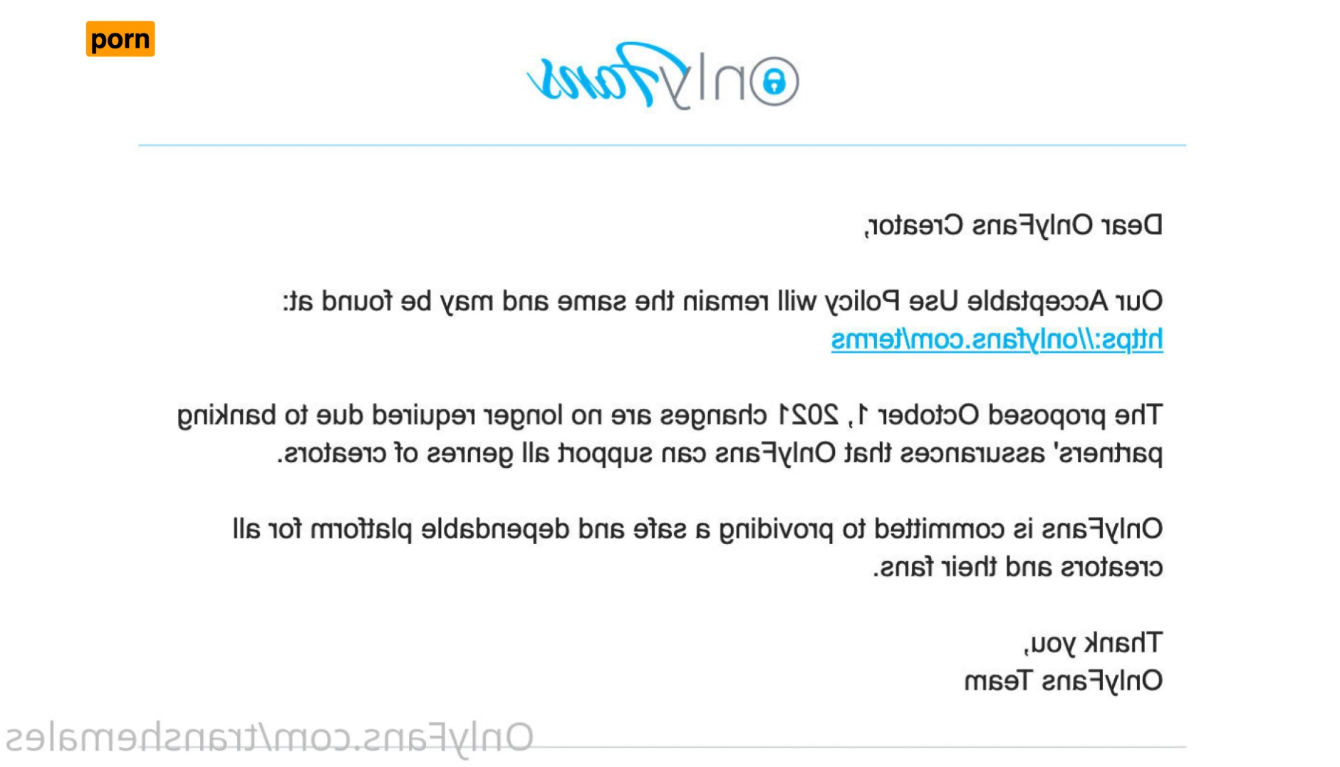 Trans Shemales 16305834