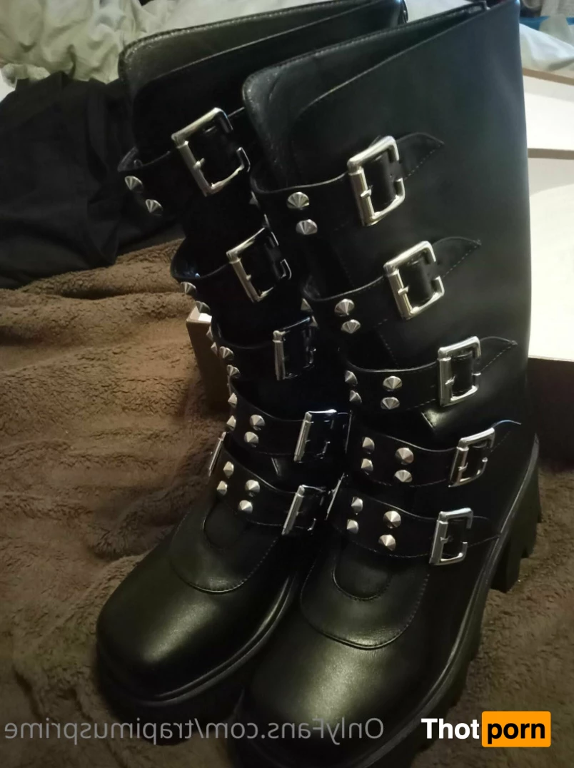 TrapimusPrime 8088981