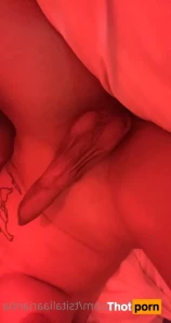 9853047