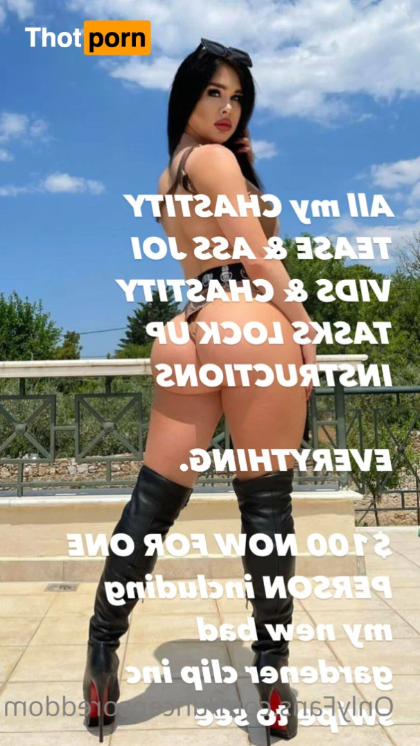 OBEY ANGELINA 16268866