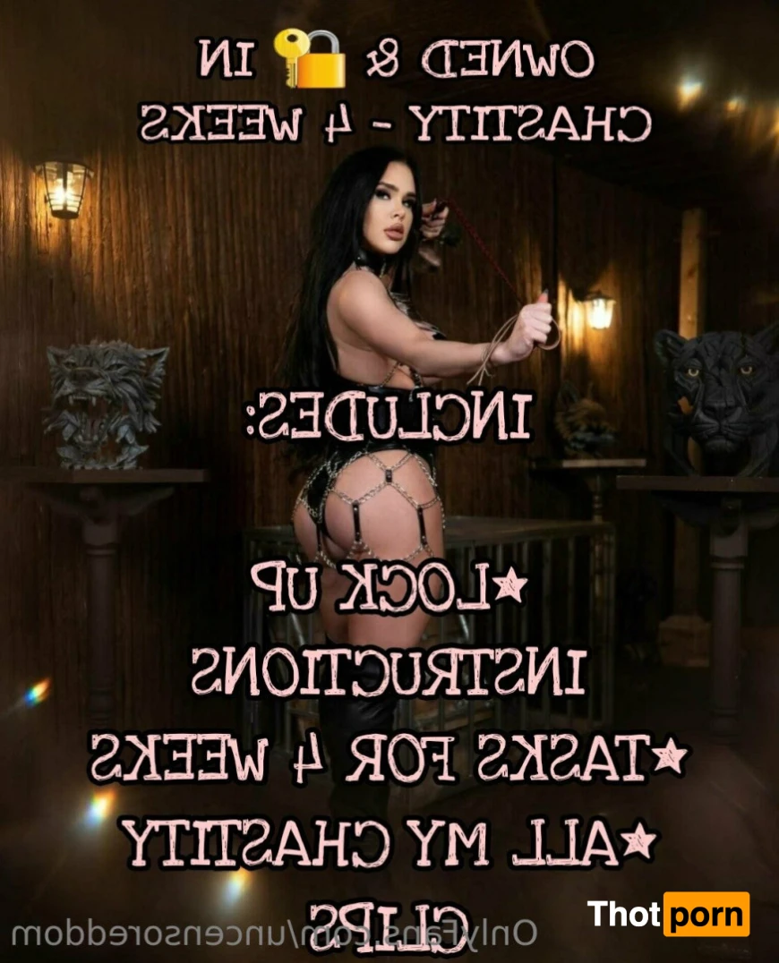 OBEY ANGELINA 16269119