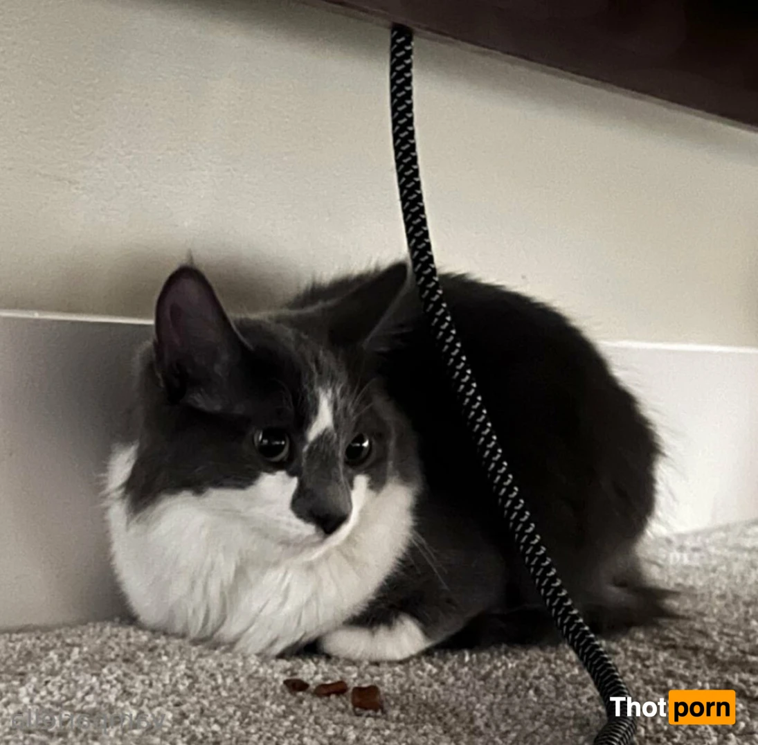 a r i e ^,..,^ 16190403