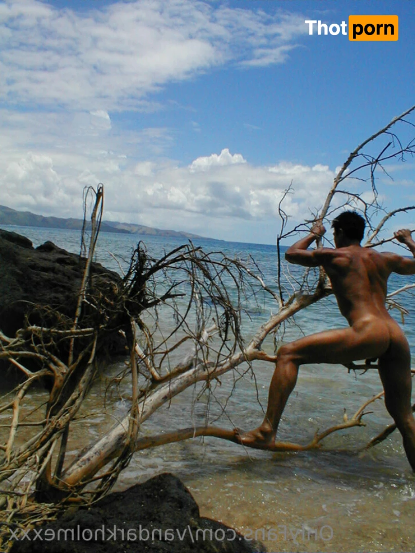 Van Darkholme 8038100