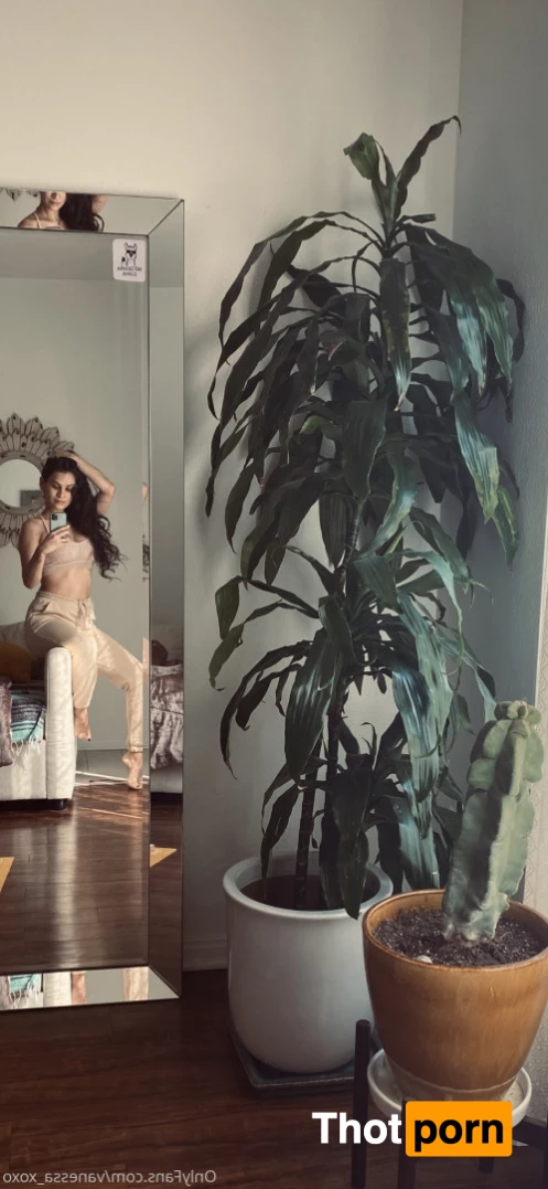 Vanessa Veracruz 8103394